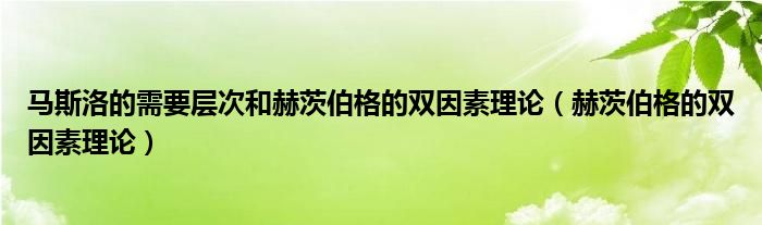 马斯洛的需要层次和赫茨伯格的双因素理论（赫茨伯格的双因素理论）