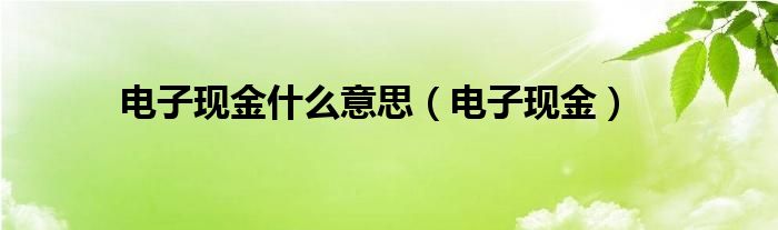 电子现金什么意思（电子现金）