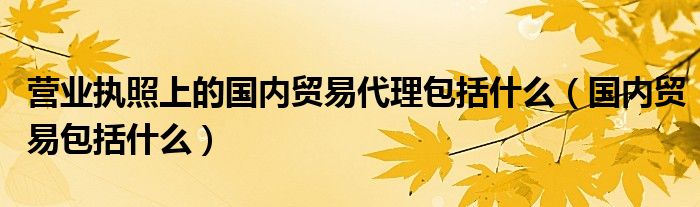 营业执照上的国内贸易代理包括什么（国内贸易包括什么）