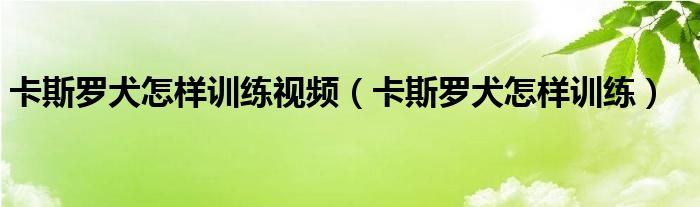 卡斯罗犬怎样训练视频（卡斯罗犬怎样训练）