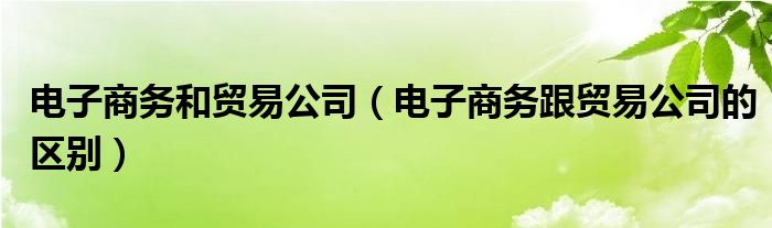 电子商务和贸易公司（电子商务跟贸易公司的区别）