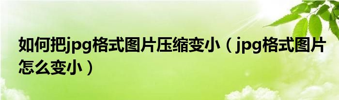 如何把jpg格式图片压缩变小（jpg格式图片怎么变小）