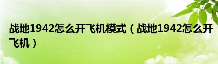 战地1942怎么开飞机模式（战地1942怎么开飞机）