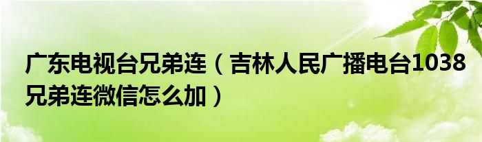 广东电视台兄弟连（吉林人民广播电台1038兄弟连微信怎么加）