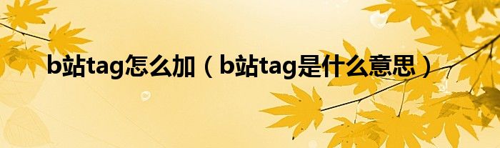 b站tag怎么加（b站tag是什么意思）