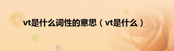 vt是什么词性的意思（vt是什么）