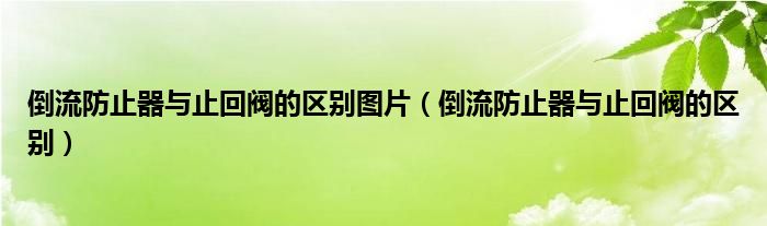 倒流防止器与止回阀的区别图片（倒流防止器与止回阀的区别）