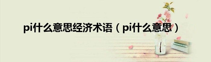 pi什么意思经济术语（pi什么意思）