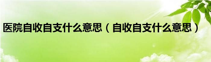 医院自收自支什么意思（自收自支什么意思）