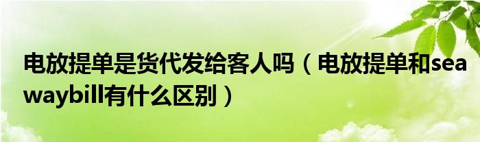 电放提单是货代发给客人吗（电放提单和seawaybill有什么区别）