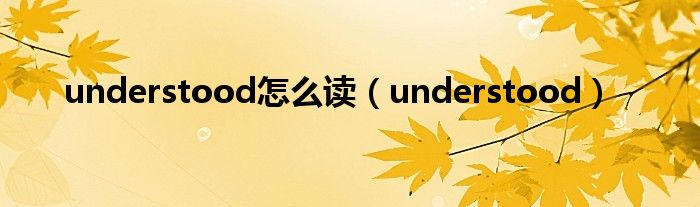 understood怎么读（understood）