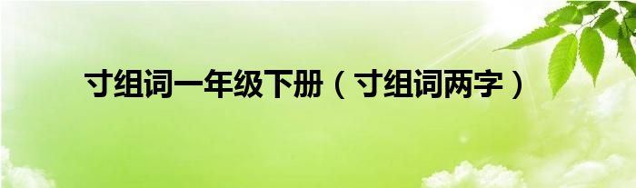 寸组词一年级下册（寸组词两字）