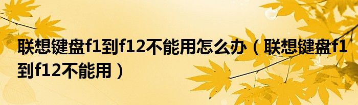 联想键盘f1到f12不能用怎么办（联想键盘f1到f12不能用）