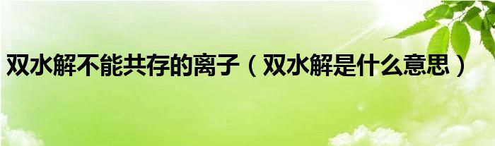 双水解不能共存的离子（双水解是什么意思）