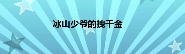 冰山少爷的拽千金