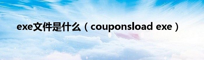 exe文件是什么（couponsload exe）