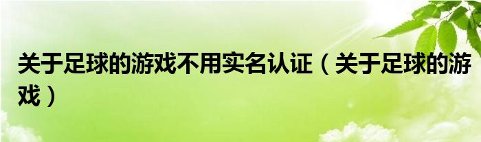 关于足球的游戏不用实名认证（关于足球的游戏）