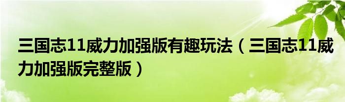 三国志11威力加强版有趣玩法（三国志11威力加强版完整版）