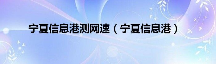 宁夏信息港测网速（宁夏信息港）