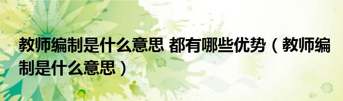 教师编制是什么意思 都有哪些优势（教师编制是什么意思）