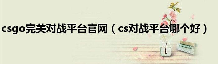 csgo完美对战平台官网（cs对战平台哪个好）