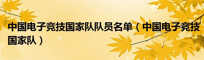 中国电子竞技国家队队员名单（中国电子竞技国家队）