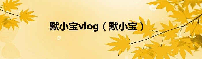 默小宝vlog（默小宝）