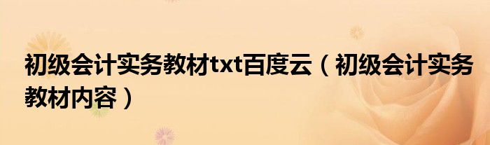 初级会计实务教材txt百度云（初级会计实务教材内容）