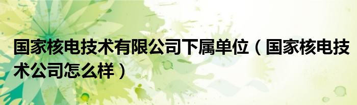 国家核电技术有限公司下属单位（国家核电技术公司怎么样）