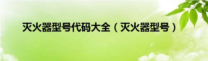 灭火器型号代码大全（灭火器型号）