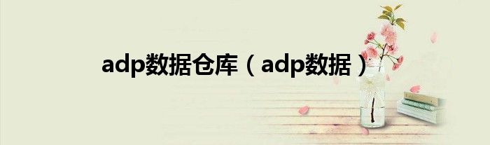 adp数据仓库（adp数据）