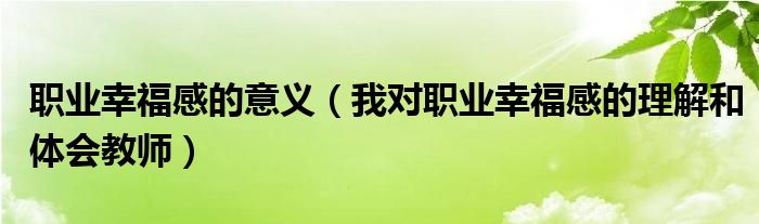 职业幸福感的意义（我对职业幸福感的理解和体会教师）