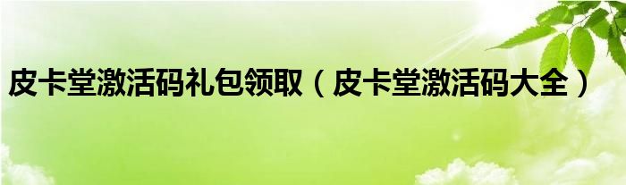 皮卡堂激活码礼包领取（皮卡堂激活码大全）