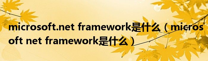 microsoft.net framework是什么（microsoft net framework是什么）