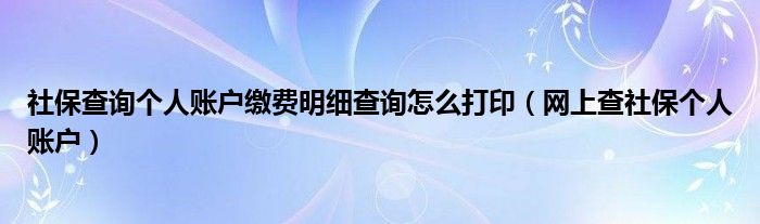 社保查询个人账户缴费明细查询怎么打印（网上查社保个人账户）