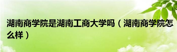 湖南商学院是湖南工商大学吗（湖南商学院怎么样）