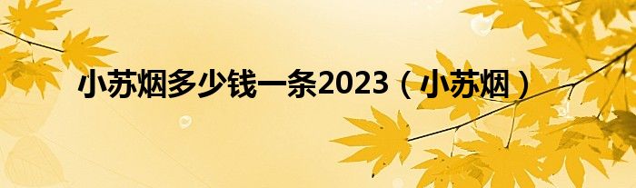 小苏烟多少钱一条2023（小苏烟）