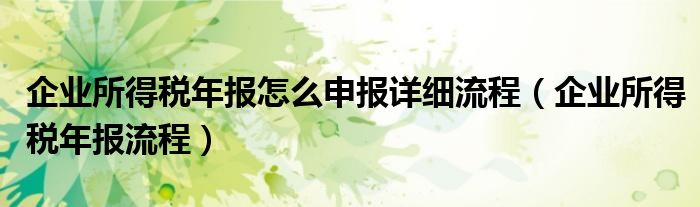 企业所得税年报怎么申报详细流程（企业所得税年报流程）