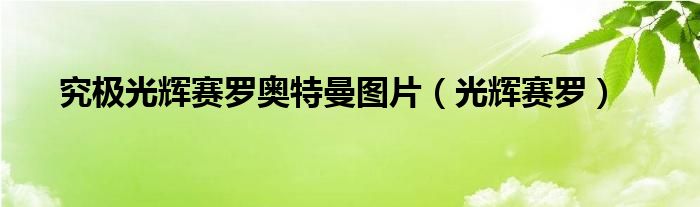 究极光辉赛罗奥特曼图片（光辉赛罗）