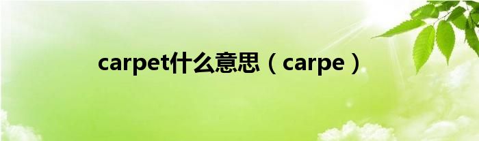 carpet什么意思（carpe）