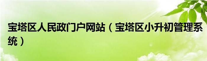 宝塔区人民政门户网站（宝塔区小升初管理系统）