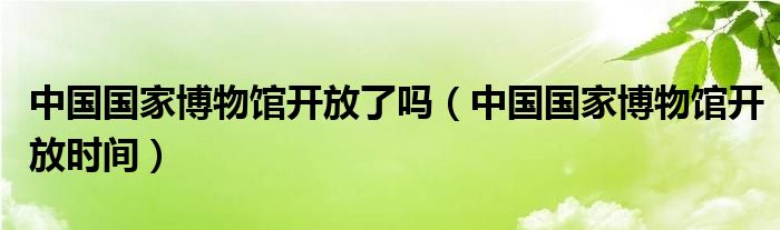 中国国家博物馆开放了吗（中国国家博物馆开放时间）