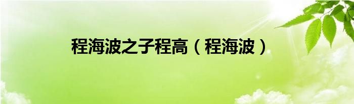 程海波之子程高（程海波）