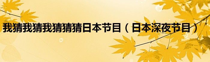 我猜我猜我猜猜猜日本节目（日本深夜节目）