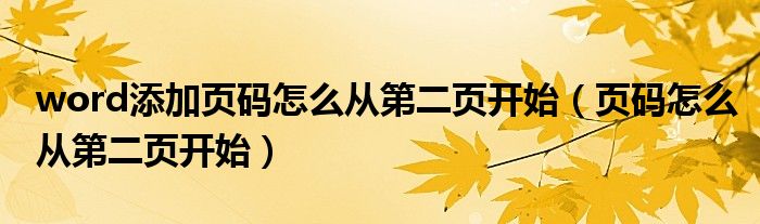 word添加页码怎么从第二页开始（页码怎么从第二页开始）