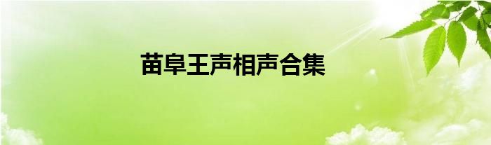 苗阜王声相声合集