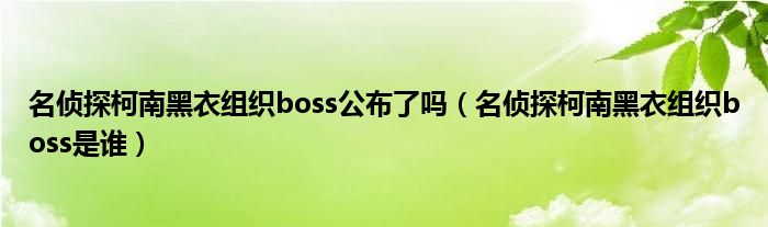 名侦探柯南黑衣组织boss公布了吗（名侦探柯南黑衣组织boss是谁）