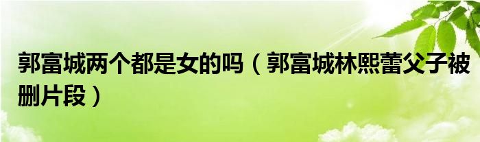 郭富城两个都是女的吗（郭富城林熙蕾父子被删片段）