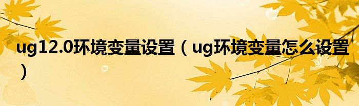 ug12.0环境变量设置（ug环境变量怎么设置）