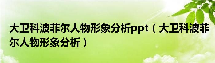 大卫科波菲尔人物形象分析ppt（大卫科波菲尔人物形象分析）